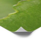 葉の上にテントウムシ飛んでいるグミを閉じる ポスター (角)