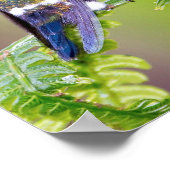 葉の上に緑のハミングバードカップル ポスター (角)