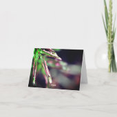 葉の上に雨考え滴を落とすカード カード (裏面)