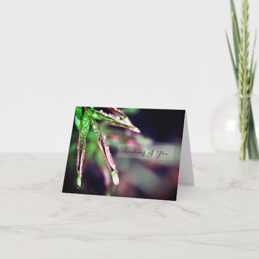 葉の上に雨考え滴を落とすカード カード (正面)