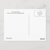 葉の上のガラス翼の蝶 ポストカード (裏面)