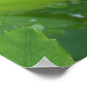 葉の上のラディバグ ポスター (角)