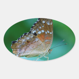 葉の上の美しいオオカナダモナークバタフライ 楕円形シール