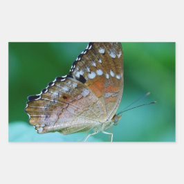 葉の上の美しいオオカナダモナークバタフライ 長方形シール