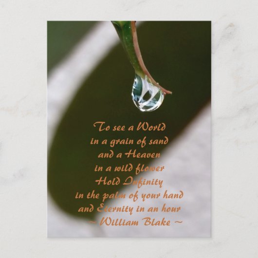 葉の上の雨滴から世界を見る ブレイクの名言 ポストカード (正面)