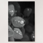 葉の上の雨滴 ジグソーパズル (縦)