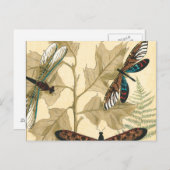 葉の上を舞うカラフルなトンボ ポストカード (正面/裏面)