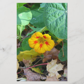 葉の中の花 便箋