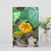 葉の中の花 便箋 (スタンド正面)