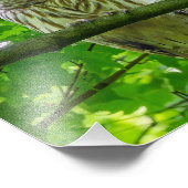 葉の多いキャノピーに入った有刺梟 フォトプリント            (角)