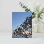葉の多いシルエット ポストカード (スタンド正面)
