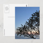 葉の多いシルエット ポストカード (正面/裏面)