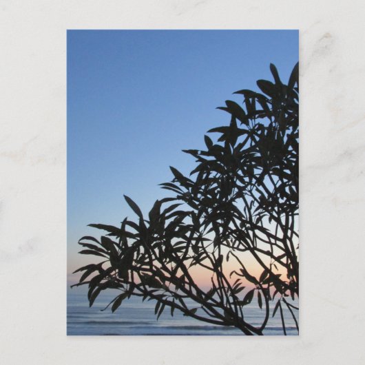 葉の多いシルエット ポストカード (正面)