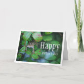 葉の多い池のカエルの肖像 カード (正面)