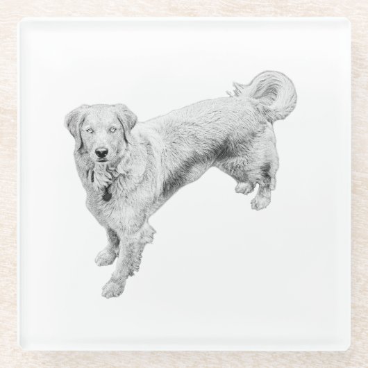 葉の季節のセンチネル ガラスコースター (正面)