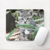 葉の後ろに隠れている子ネコ マウスパッド (マウス)