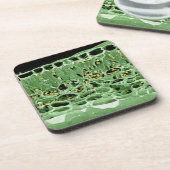 葉の横断面 コースター (左側)