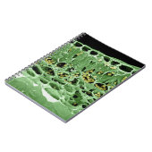 葉の横断面 ノートブック (左側)