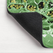 葉の横断面 マウスパッド (コーナー)