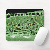 葉の横断面 マウスパッド (マウス)