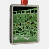 葉の横断面 メタルオーナメント (右)