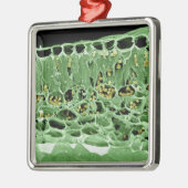 葉の横断面 メタルオーナメント (左)