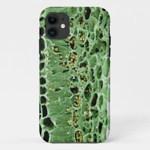 葉の横断面 iPhone 11 ケース