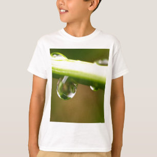 葉の水低下 Tシャツ