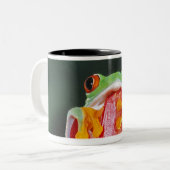 葉の目が赤いアマガエル ツートーンマグカップ (正面左)