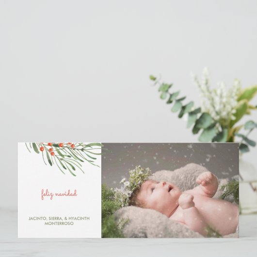 葉の素朴果実フェリズナヴィッダクリスマス シーズンカード (スタンド正面)