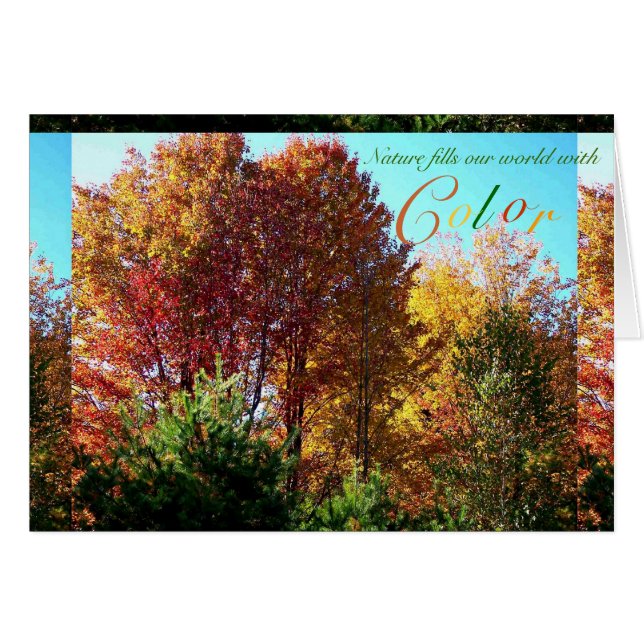 葉の色 (正面横)