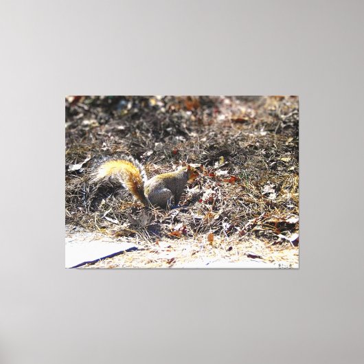 葉の茂った地面のリス キャンバスプリント (正面)