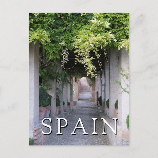 葉の覆われた歩道（スペイン） ポストカード (正面)