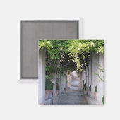 葉の覆われた歩道(スペイン) マグネット (正面/裏面)
