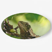 葉の間に隠れているオーストラリアのトカゲ9"写真 ペーパープレート (アングル)