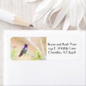 葉の間のコスタのハチドリ ラベル (インサイチュ)