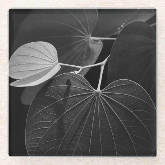 葉の静脈 ガラスコースター (正面)