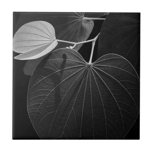 葉の静脈 タイル (正面)