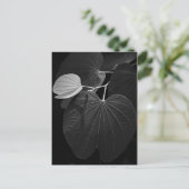 葉の静脈 ポストカード (スタンド正面)