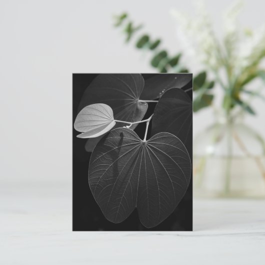 葉の静脈 ポストカード (スタンド正面)