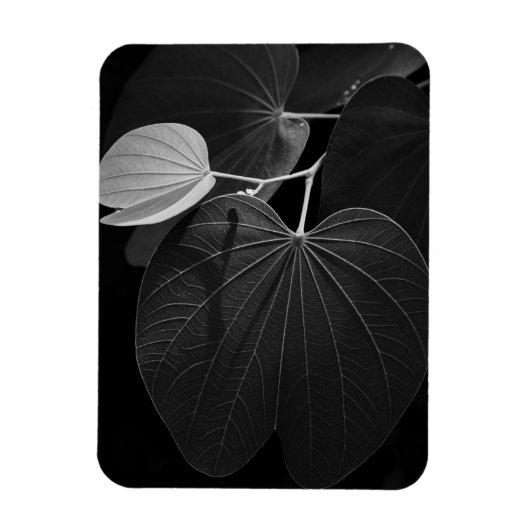 葉の静脈 マグネット (縦)