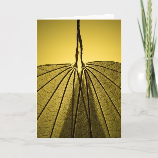 葉の骨組 カード (正面)