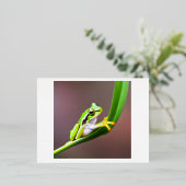 葉はがき用のカエル 箔シーズンポストカード (立ち正面)