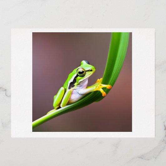 葉はがき用のカエル 箔シーズンポストカード (正面)