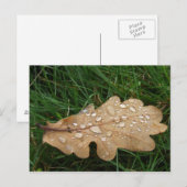 葉はがき ポストカード (正面/裏面)