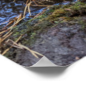 葉を水に落ちた付けたDesiderata詩 ポスター (角)