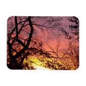 葉を落とした木々と色彩豊かな夕焼け マグネット (横)