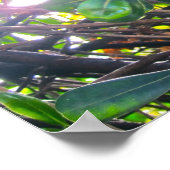 葉を通して ポスター (角)