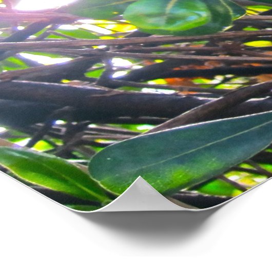 葉を通して ポスター (角)