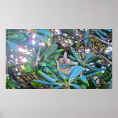 葉を通して ポスター (正面)